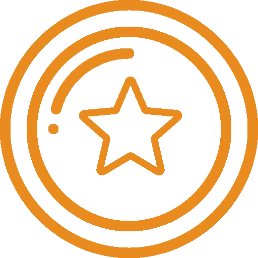 Star coin icon